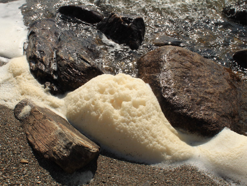Lake foam