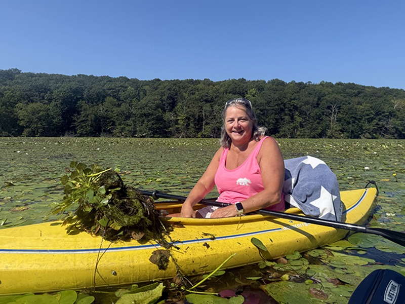 water chestnut removal on Lake Hopatcong