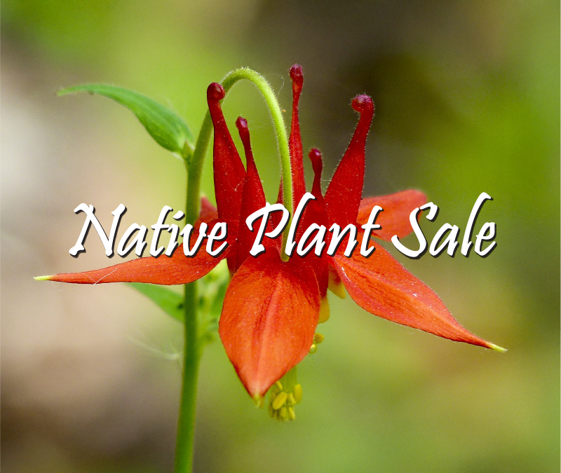 Native Plant Sale