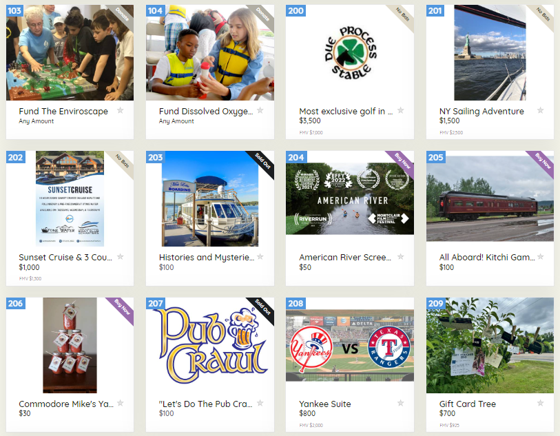 Lake Hopatcong Foundation annual auction items image