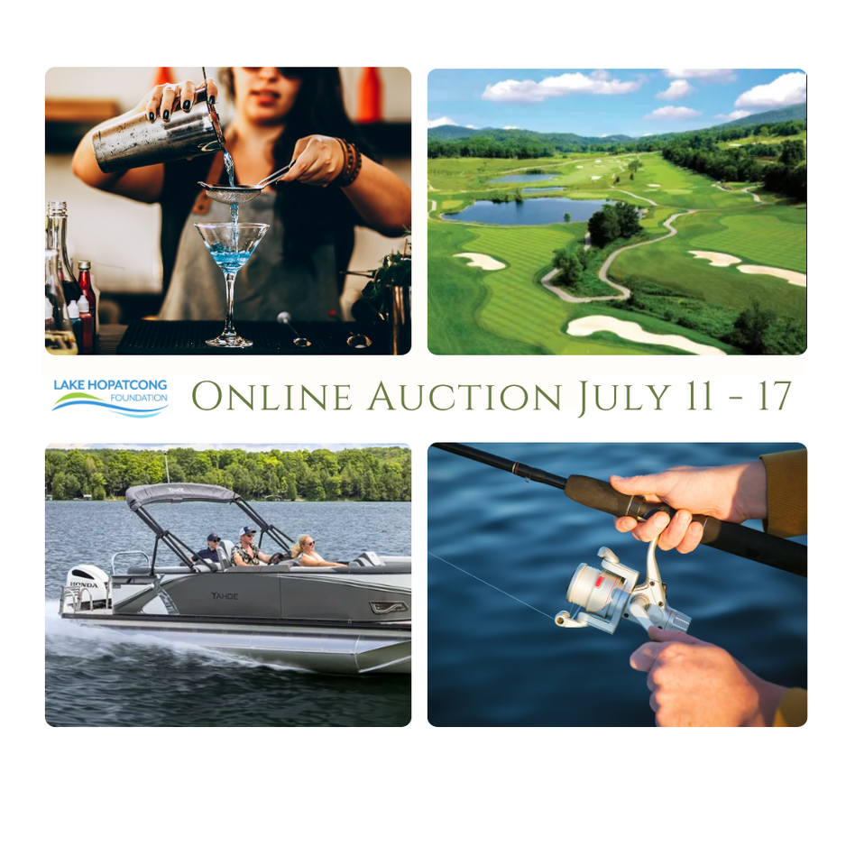 An ad for the 2025 Gala Auction.