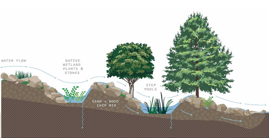 Drawing of an example of a regenerative stormwater conveyance system