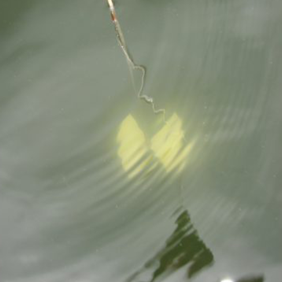 close up of water quality test sample